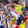 🦅 El Aguila Regia 🦅's profile picture