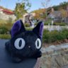 miki's profile picture