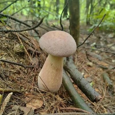 hzx3621072's profile picture