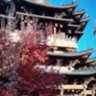 Profilbild von 遇事不决,可问春风