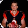 Burrow's Fall Guy's profile picture