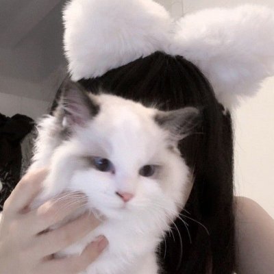 m2m2um's profile picture