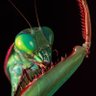 Фото профиля Jeremias