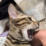 ユウスケ 的头像