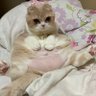 Фото профиля DoB…せいじろう