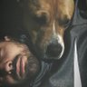 Profilbild von David Valadés Navarro