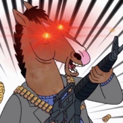 BitcoinHorseman's profile picture