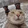 云之君 profil fotoğrafı
