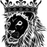 Leão de Antônio Baena's profile picture