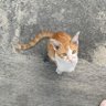 봉봉 profil fotoğrafı