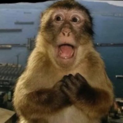 MH's profile picture
