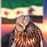 قلم من ذاكرة الثورة profil fotoğrafı
