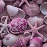pinkydiaries profil fotoğrafı