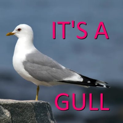 The_PunKing's profile picture