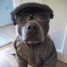 Banshy profil fotoğrafı