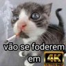 Profilbild von só sigo bosta