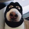 Ery jaguara's profile picture