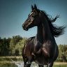شهاب الذهبي profil fotoğrafı