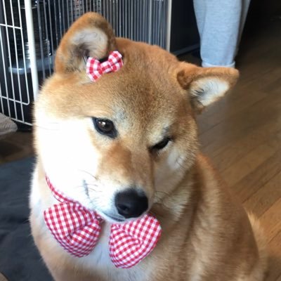 Takasan43228157's profile picture