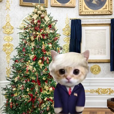 RealGitmoTrump's profile picture