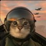 Ali's profile picture