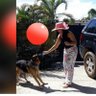 MariaCastillo24's profile picture