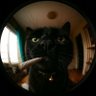 Profilbild von su