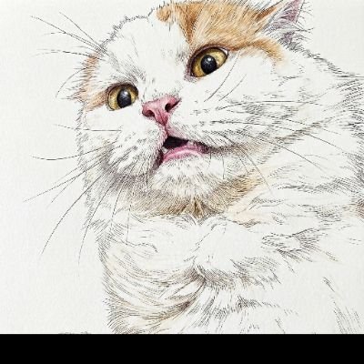 Ciku 🦁🍉's profile picture