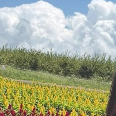 あめ's profile picture