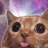 b0rnil's profile picture