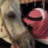 Фото профиля Essam El-Gabry