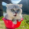 探险者's profile picture
