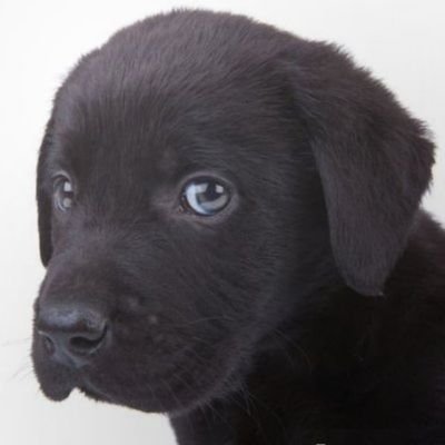 DDAKBBAM's profile picture