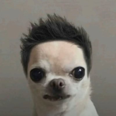 LSDXOXO's profile picture
