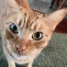 Timbob's profile picture