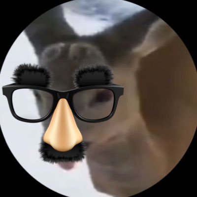 Plum 。𖦹°‧ 🦢's profile picture