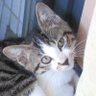 だいだい🐈⬛🐈 profil fotoğrafı