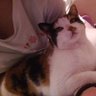 Profilbild von maigobbo