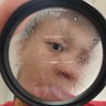 Landen profil fotoğrafı