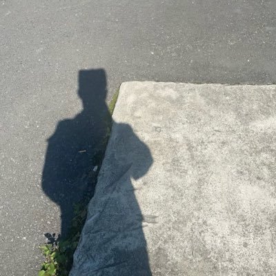 Luxiaoxiao121's profile picture