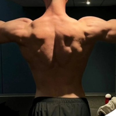germanmuscleboy's profile picture
