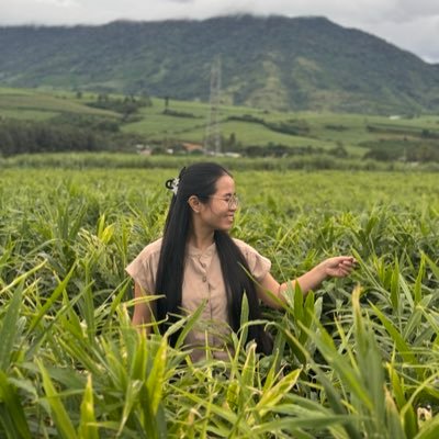 Thư Thư | Kim's profile picture