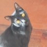 Profilbild von Swilvie