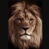 Lionheart 的头像