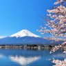 Profilbild von シンシン