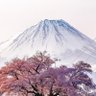 Фото профиля ダニエル三世