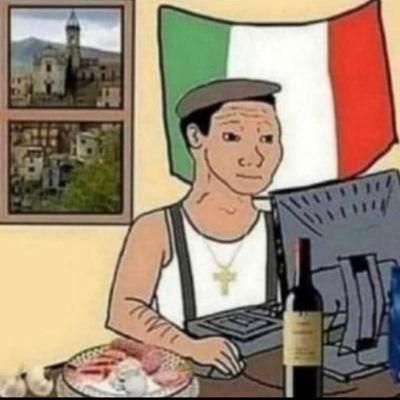 Goyimcetto 🧱🇷🇺 🇮🇷🍝💊's profile picture
