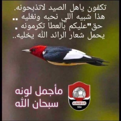 azoz_alsaawi's profile picture