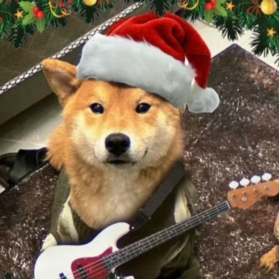 ploygoodluck's profile picture