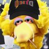 Bigbirdsonly's profile picture
